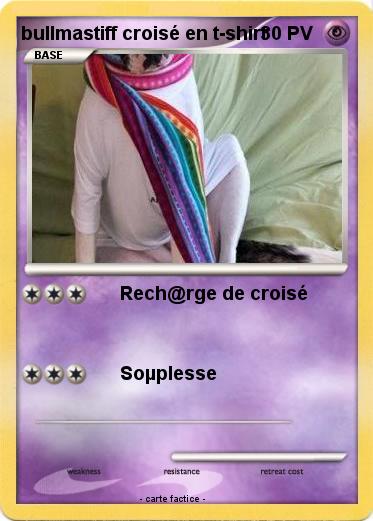 Pokemon bullmastiff croisé en t-shirt