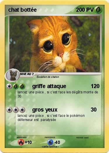 Pokemon chat bottée