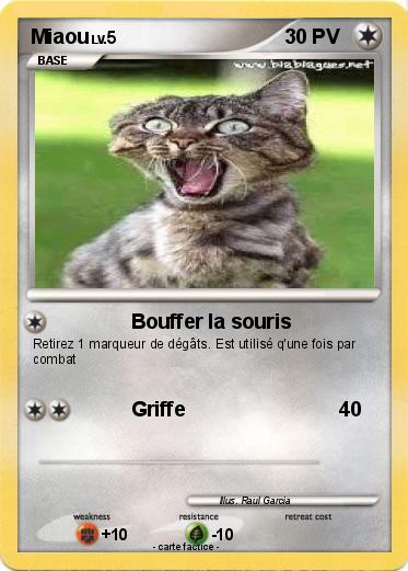 Pokemon Miaou