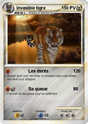 Pokemon Invasible tigre