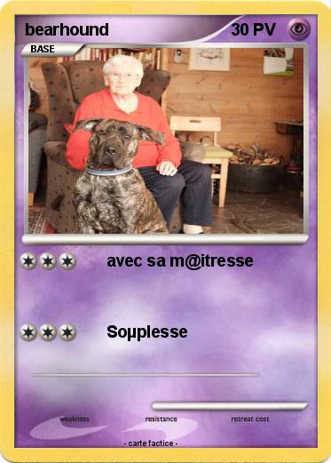 Pokemon bearhound