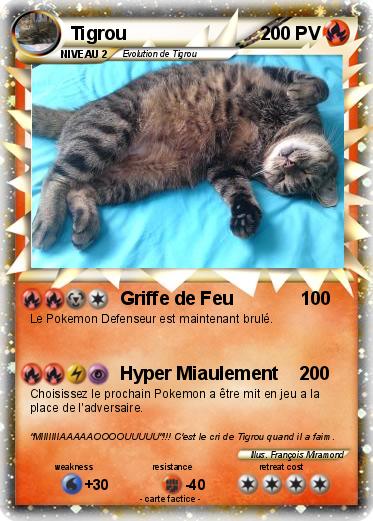 Pokemon Tigrou