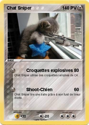 Pokemon Chat Sniper