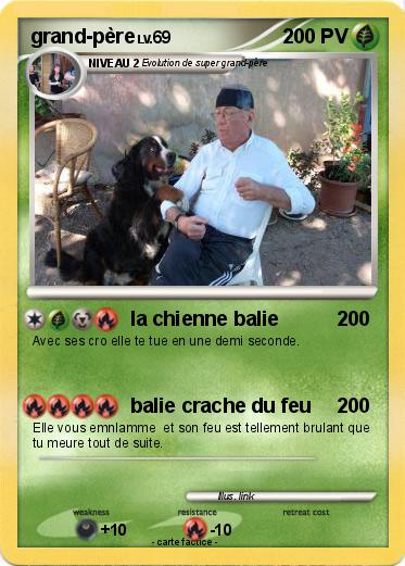 Pokemon grand-père