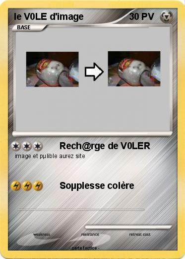 Pokemon le V0LE d'image