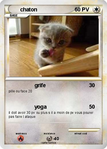 Pokemon chaton