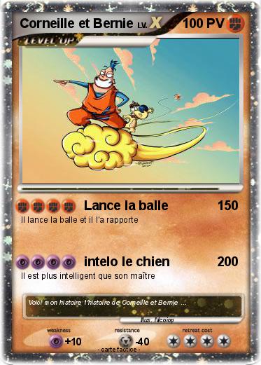 Pokemon Corneille et Bernie