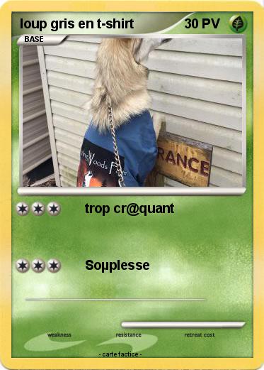 Pokemon loup gris en t-shirt