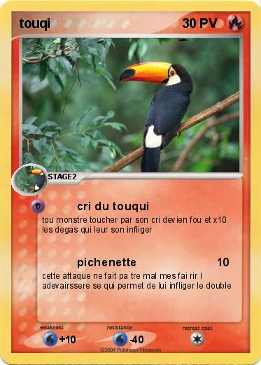 Pokemon touqi