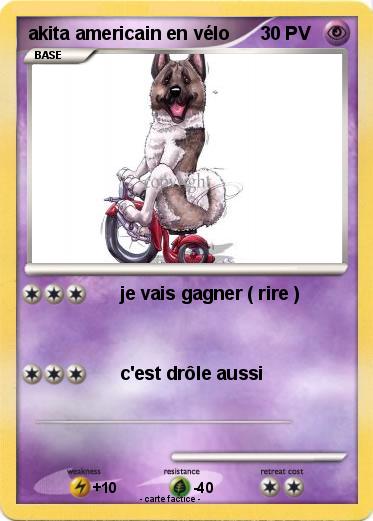 Pokemon akita americain en vélo