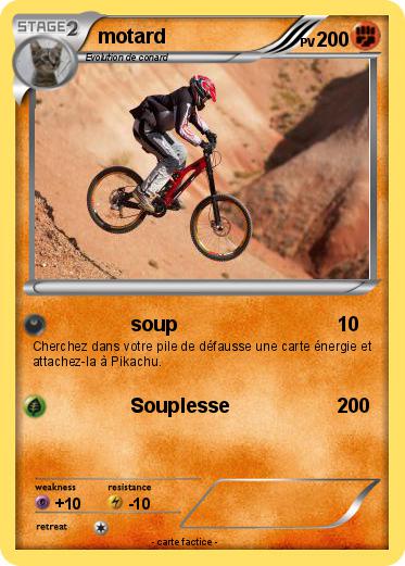 Pokemon motard