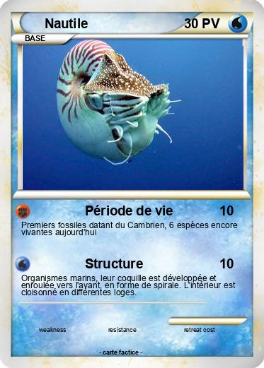 Pokemon Nautile