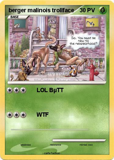 Pokemon berger malinois trollface