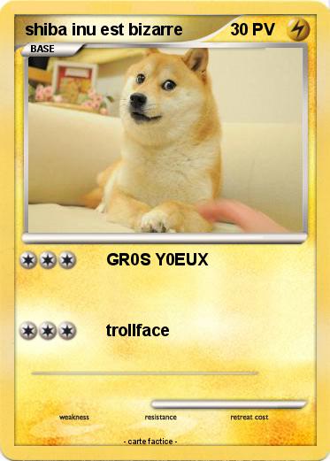Pokemon shiba inu est bizarre