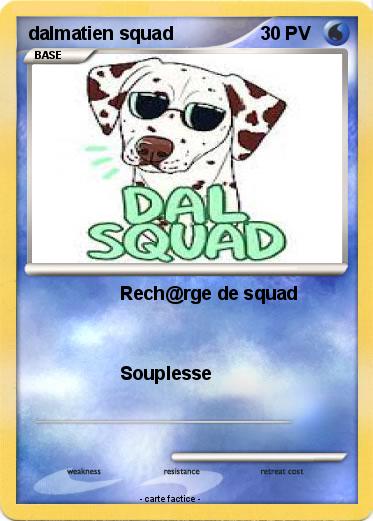Pokemon dalmatien squad