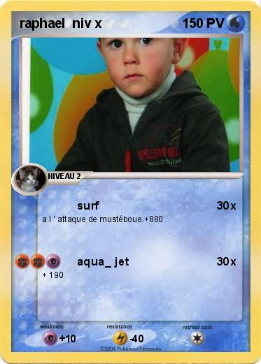 Pokemon raphael  niv x