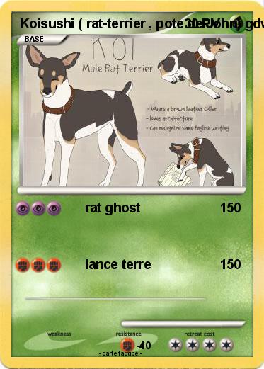 Pokemon Koisushi ( rat-terrier , pote de John) gdw
