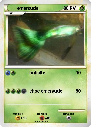 Pokemon emeraude