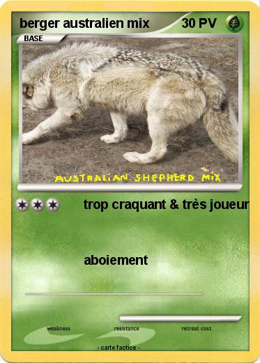 Pokemon berger australien mix