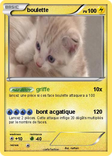Pokemon boulette