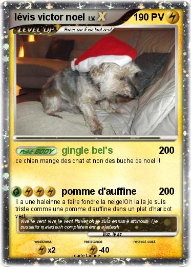 Pokemon lévis victor noel