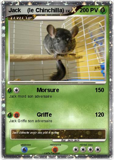 Pokemon Jack    (le Chinchilla)
