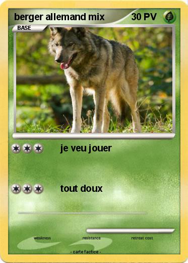 Pokemon berger allemand mix