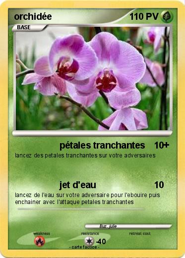 Pokemon orchidée
