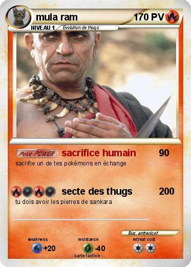 Pokemon mula ram
