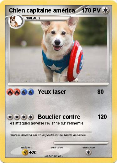 Pokemon Chien capitaine américa