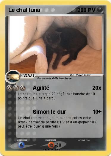 Pokemon Le chat luna