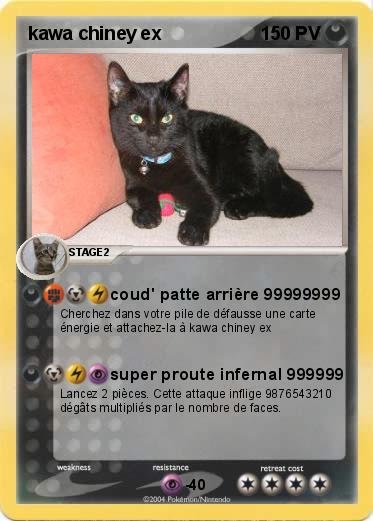 Pokemon kawa chiney ex