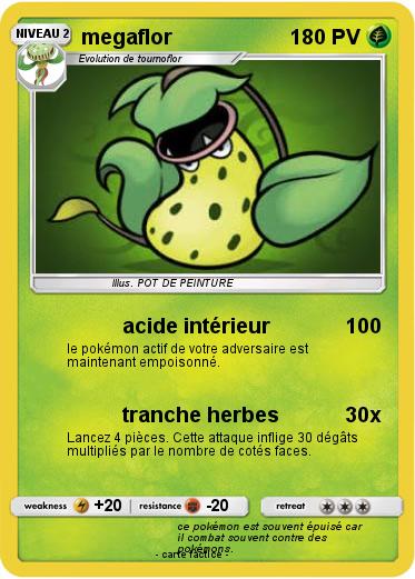 Pokemon megaflor