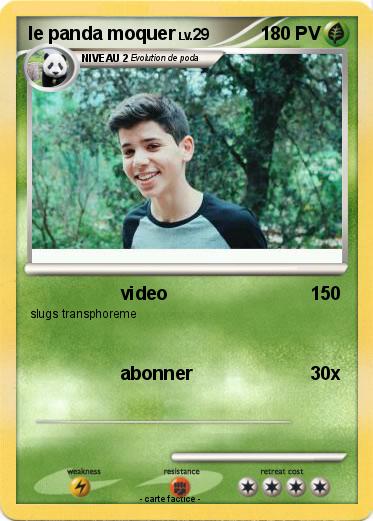 Pokemon le panda moquer
