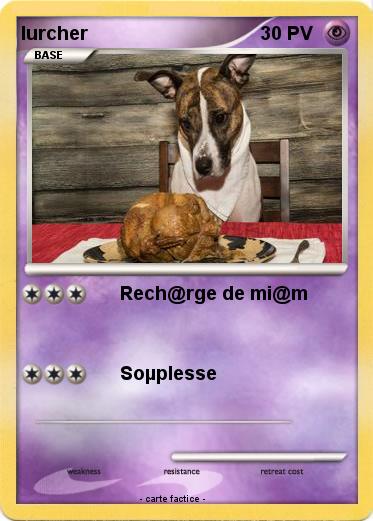 Pokemon lurcher