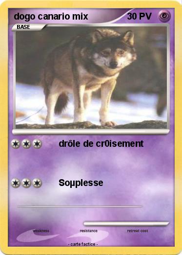 Pokemon dogo canario mix