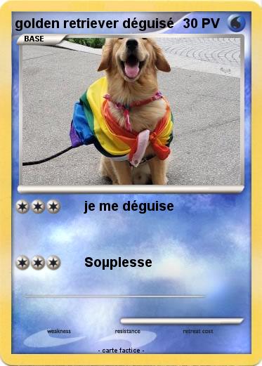 Pokemon golden retriever déguisé