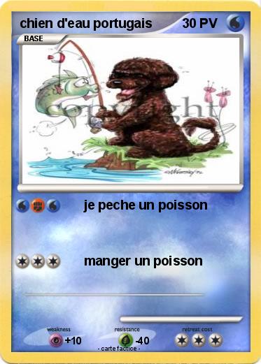 Pokemon chien d'eau portugais