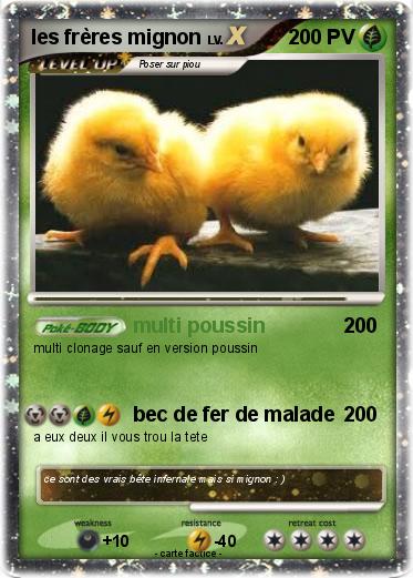 Pokemon les frères mignon