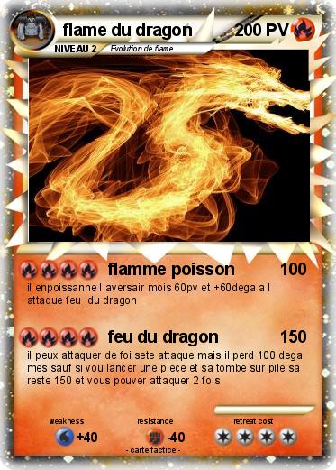 Pokemon flame du dragon