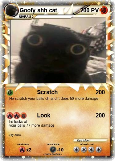 Pokemon Goofy ahh cat