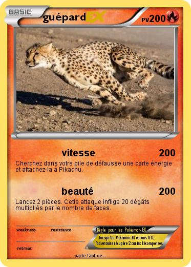 Pokemon guépard