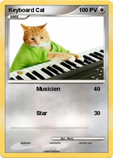 Pokemon Keyboard Cat