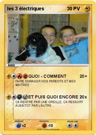 Pokemon les 3 électriques