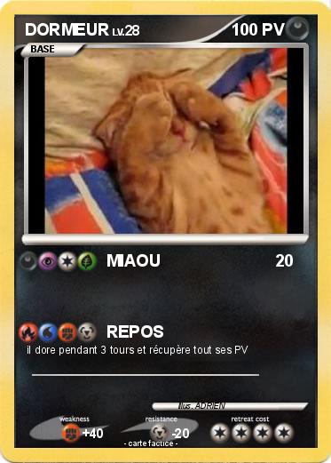 Pokemon DORMEUR