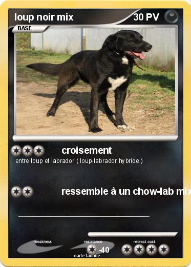 Pokemon loup noir mix