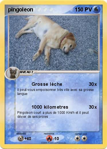 Pokemon pingoleon