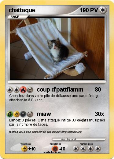 Pokemon chattaque