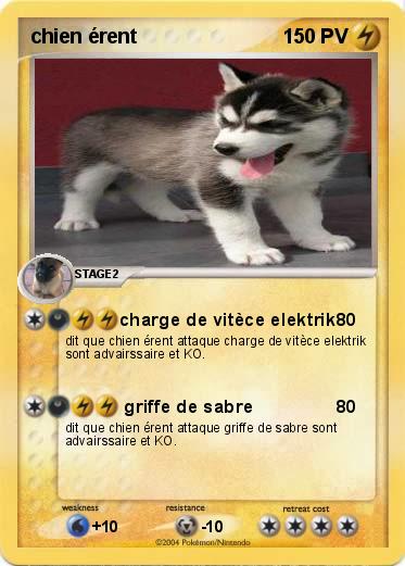 Pokemon chien érent