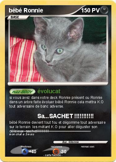 Pokemon bébé Ronnie